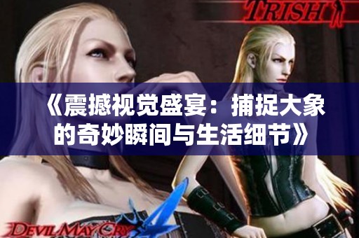 《震撼視覺盛宴：捕捉大象的奇妙瞬間與生活細節(jié)》