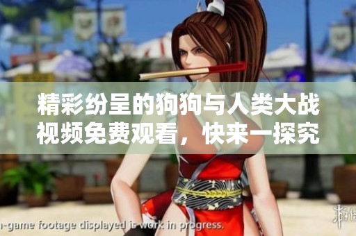 精彩紛呈的狗狗與人類(lèi)大戰(zhàn)視頻免費(fèi)觀看，快來(lái)一探究竟吧！